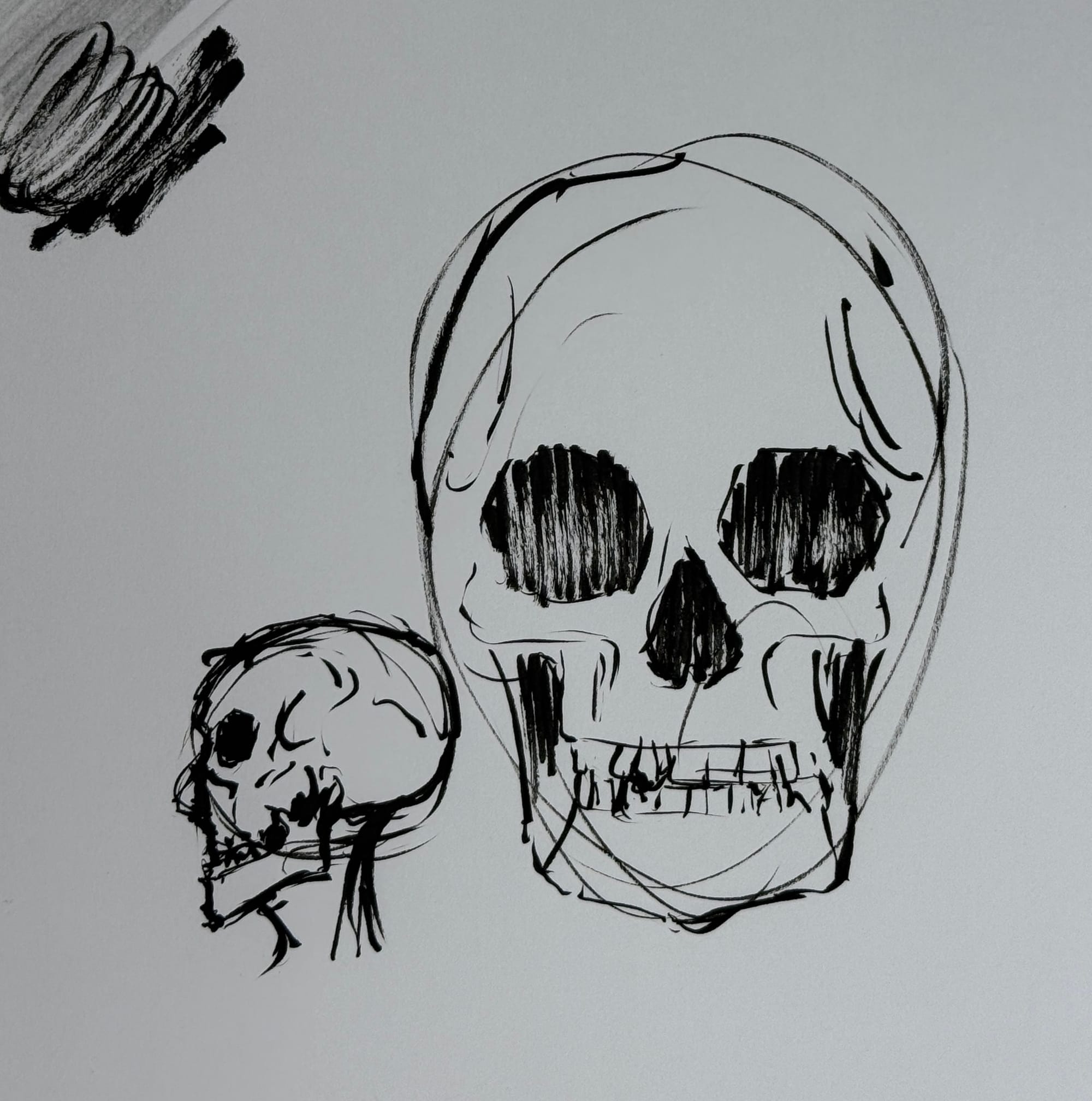 Lots of Sketching