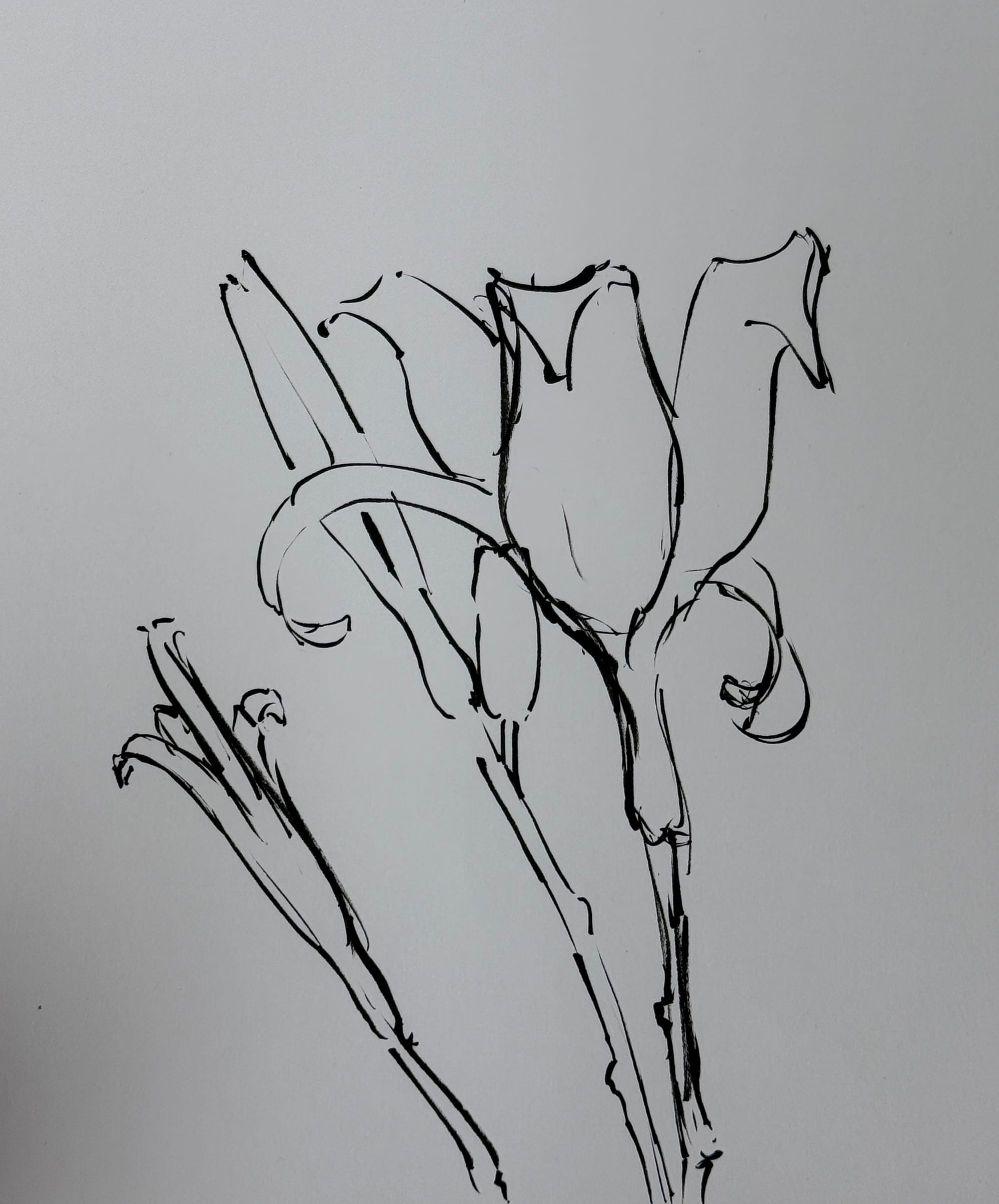 Lots of Sketching
