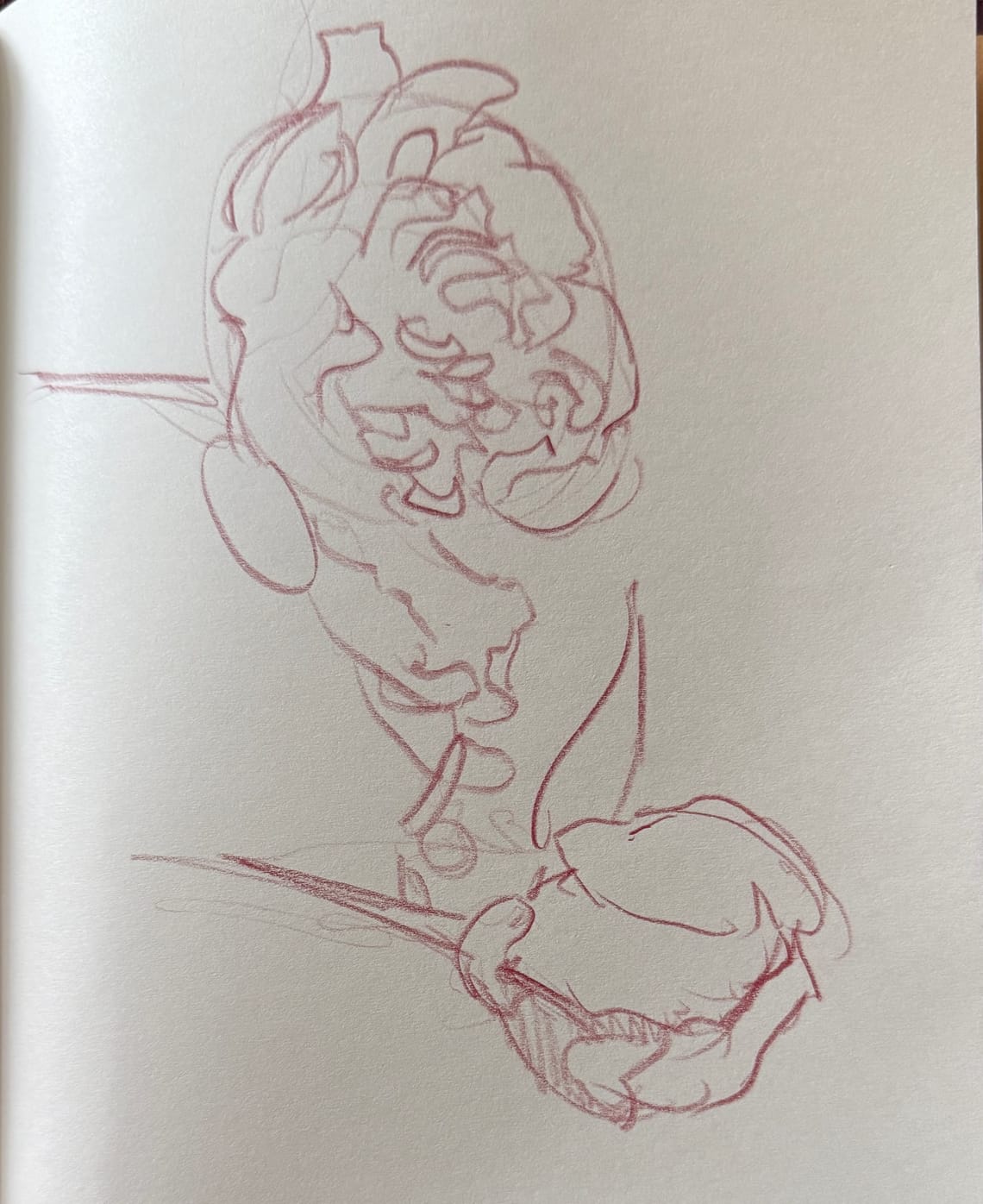Peony Studies
