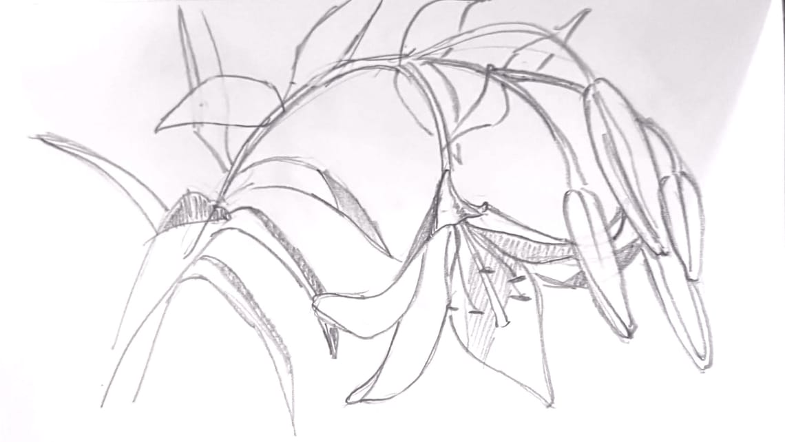 More Flowers