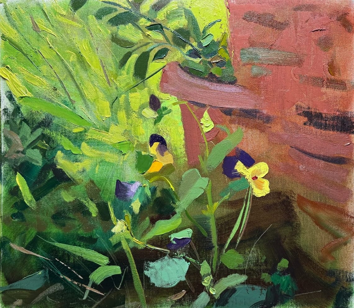 Violas Pt. 2