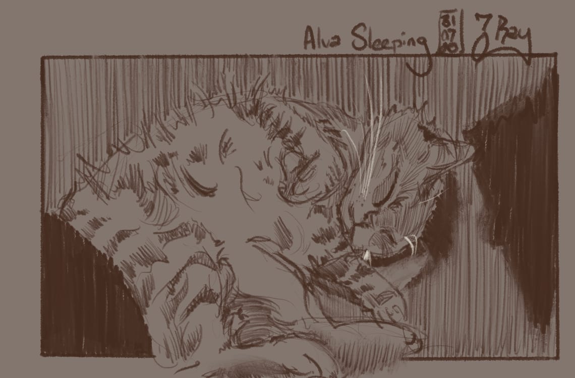 Alva Sleeping