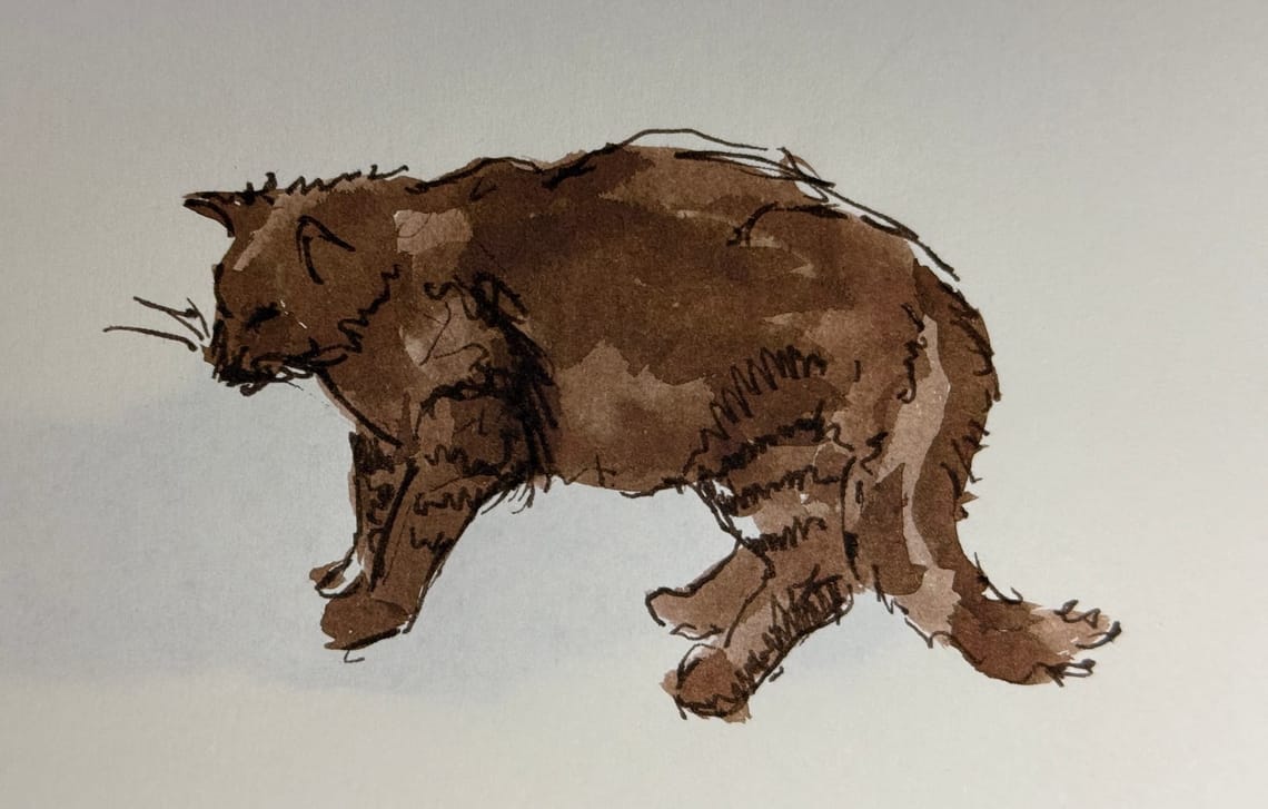 Ink Sketches