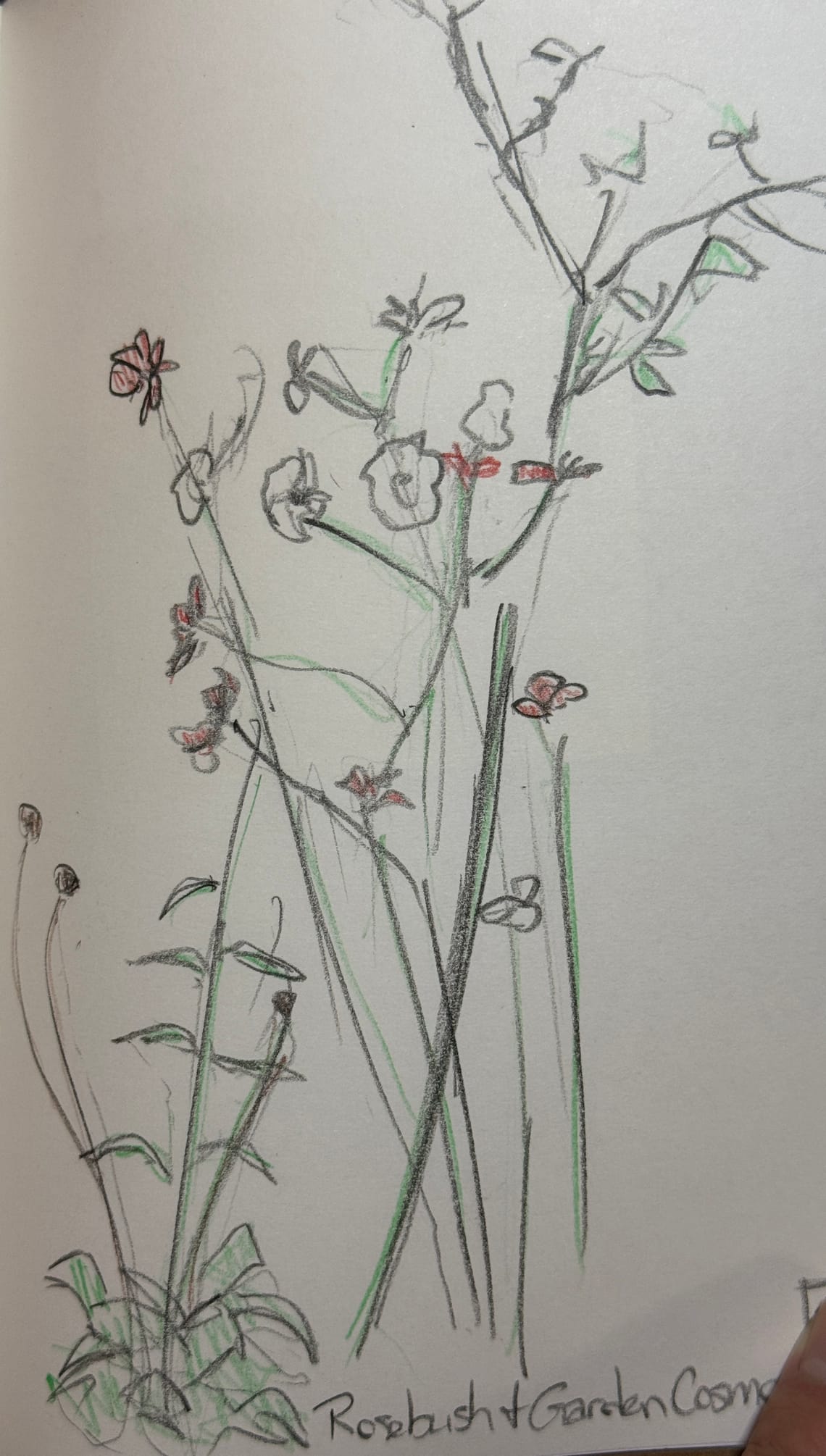 Scraping back the Paint