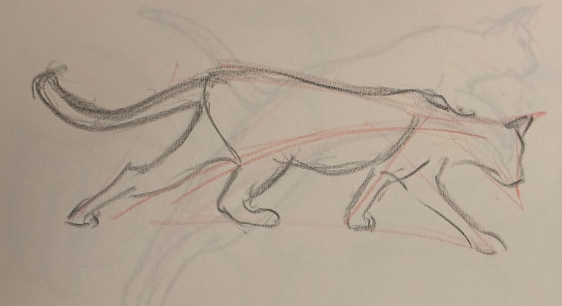 Cats are Really Just Made of Triangles