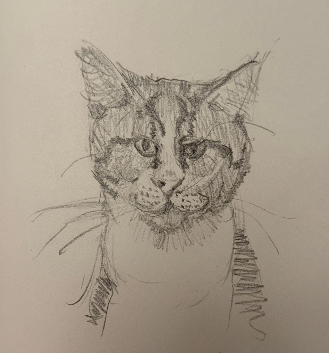 Friends-giving-day Cat