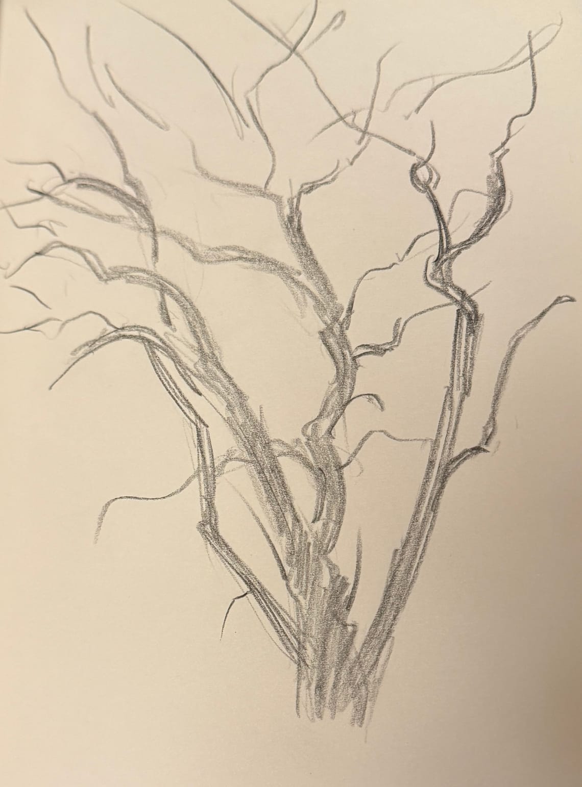 Weird Tree Sketch