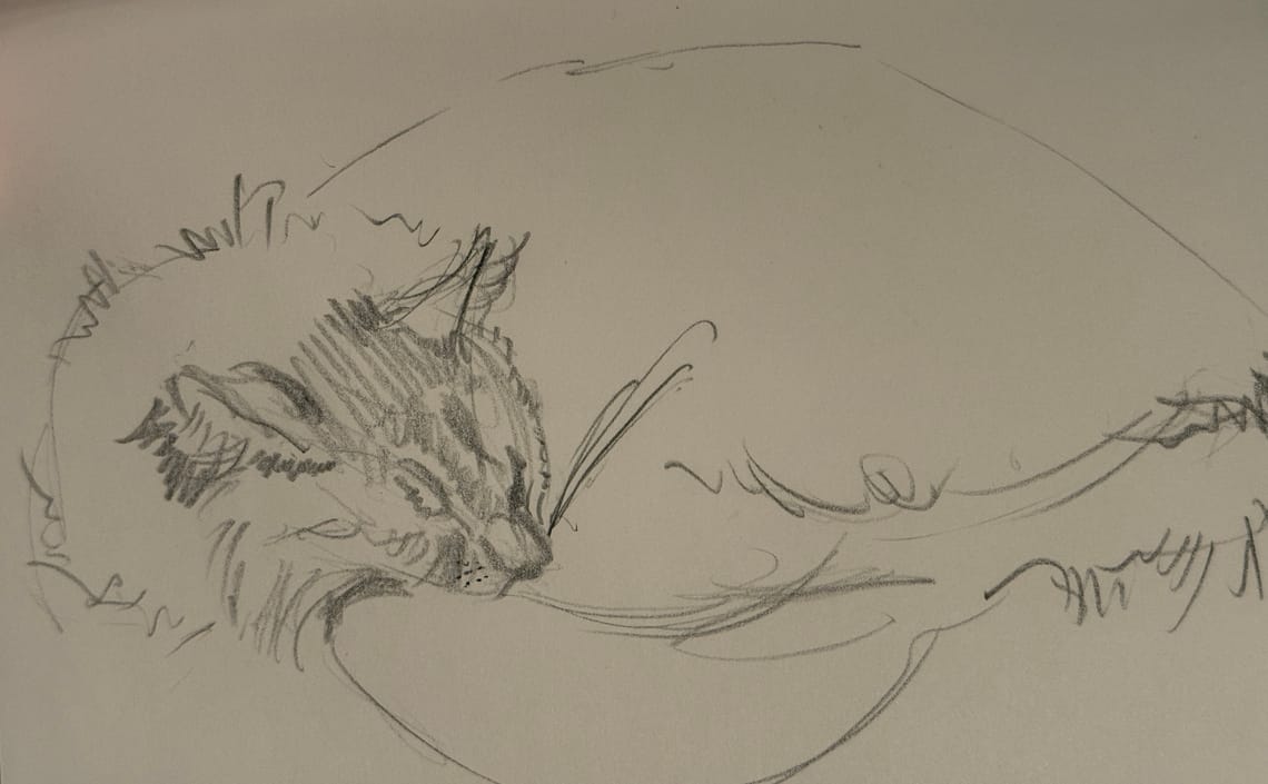 Sketches of Cat & Human Friends