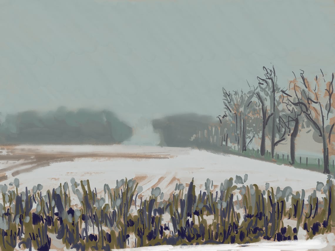 Foggy, Snowy Field