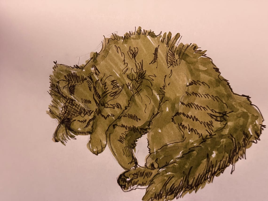Another One Where I Draw My Cat