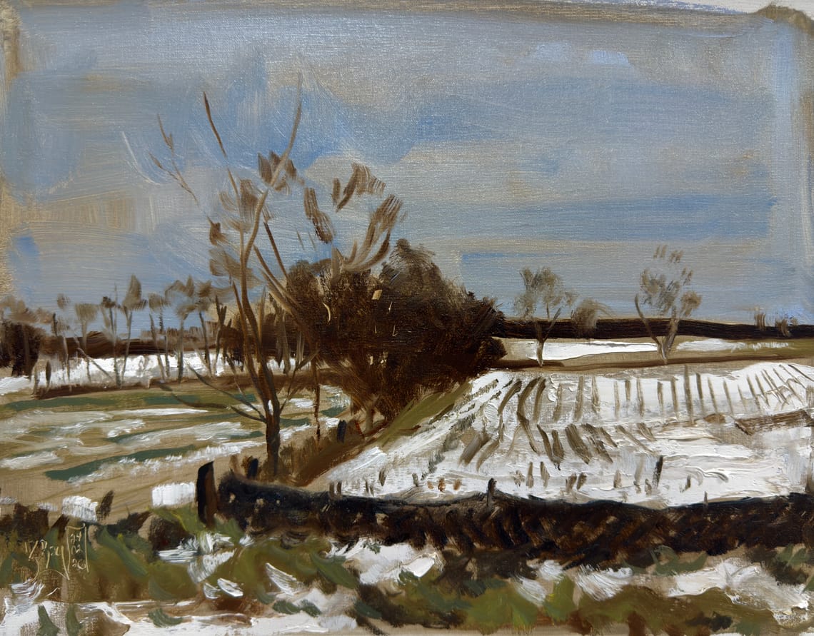 Snowy Fields