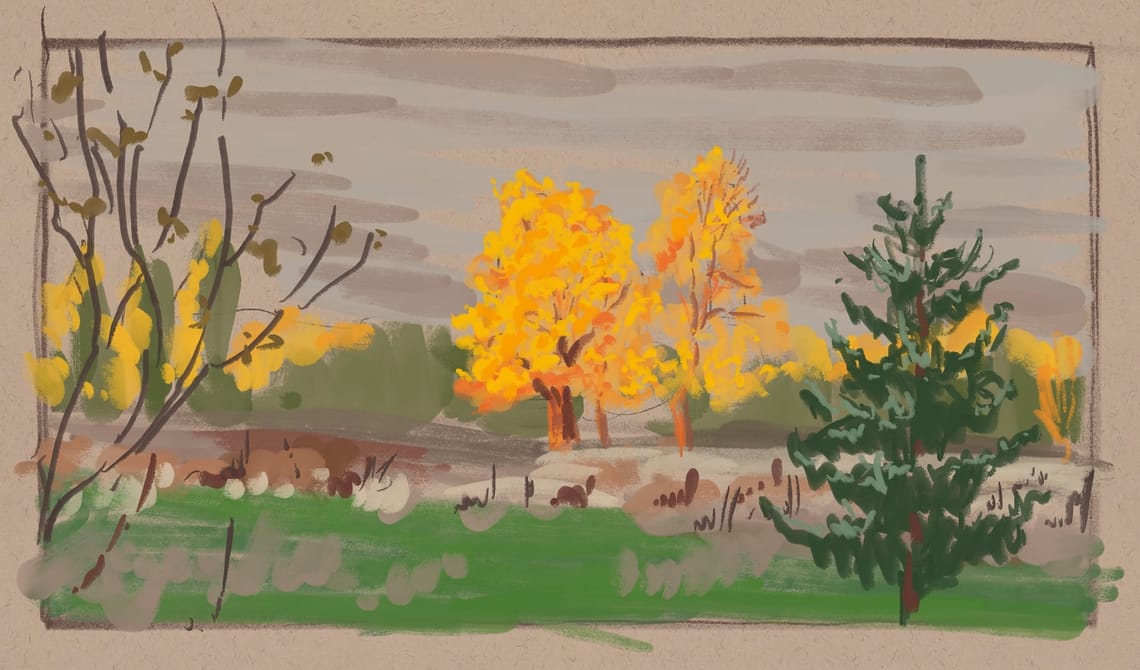A Quick Landscape