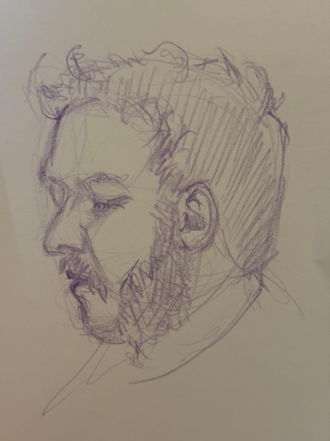 Portrait Sketches?