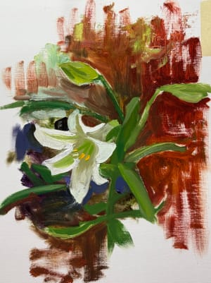 Lily