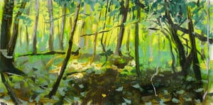 A Walk in the Woods