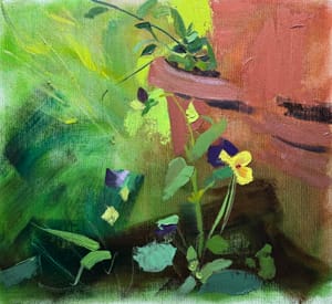 Violas Sketch