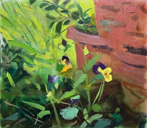 Violas Pt. 2