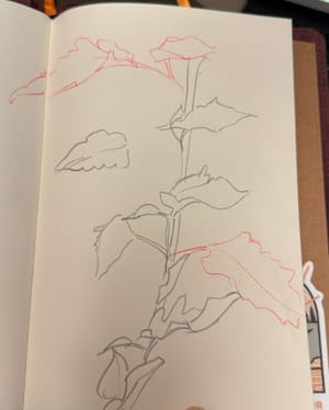 Benign Nightshade