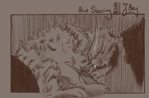 Alva Sleeping