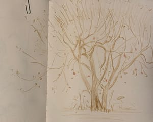 Apple Tree