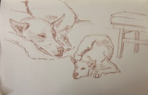 Maple and Finishing up a Floral Sketch