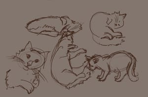 What’s Harder Than Drawing A Cat?