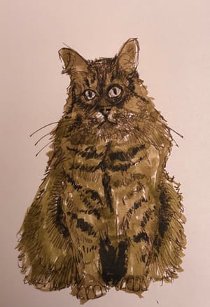 Brush Pens are Fun…