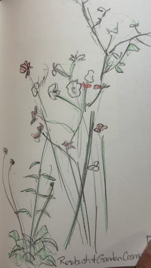 Scraping back the Paint