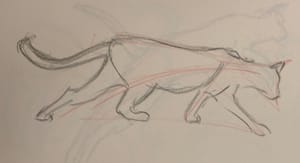 Cats are Really Just Made of Triangles