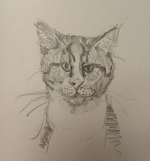 Friends-giving-day Cat