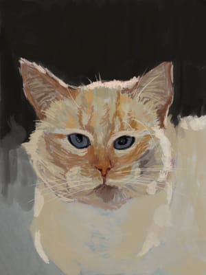 Toast, Painted