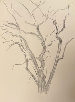 Weird Tree Sketch