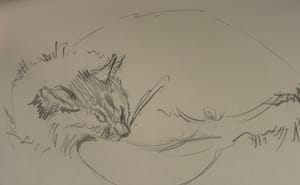 Sketches of Cat & Human Friends