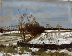 Snowy Fields