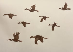 Geese, or Possibly Cranes