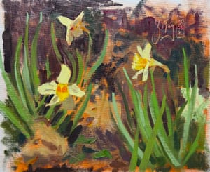 Daffodils